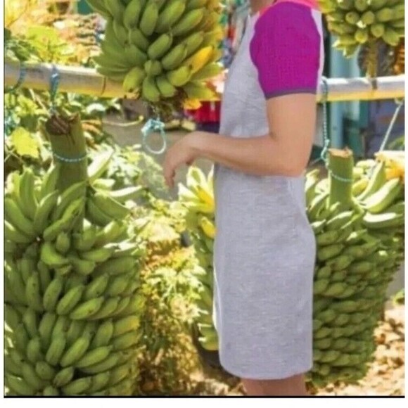 TITLE NINE Sensitive Performance Short Sleeve Dress Small Gray Colorblock - Picture 1 of 12